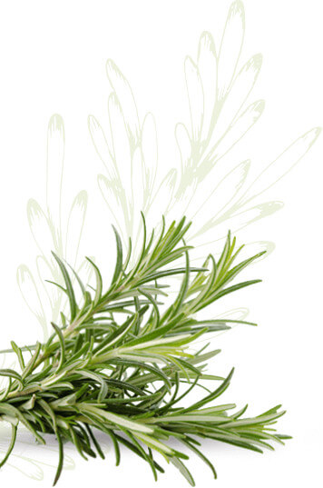 EveraCosmetic