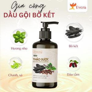 Gia công dầu gội thảo mộc bồ kết