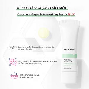 Gia công kem chấm mụn (THẢO MỘC): ĐÁNH BAY những nốt mụn xấu xí, mụn bọc, mụn đầu đen