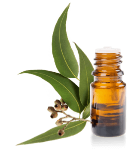 EveraCosmetic