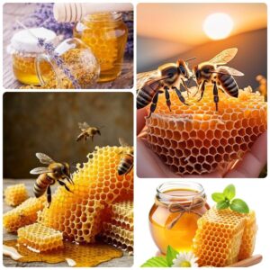 Cung cấp sáp ong: Cung cấp chất nhũ hóa tinh khiết 100% 18 cung cấp áp ong