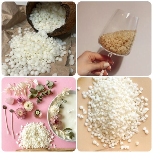 cung cấp sáp Candelilla