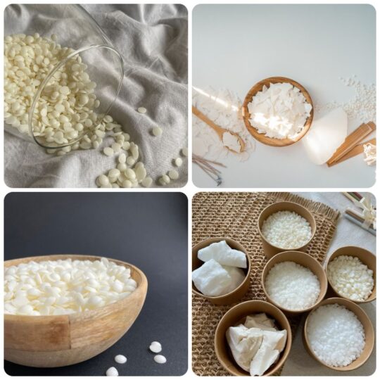 cung cấp sáp Candelilla