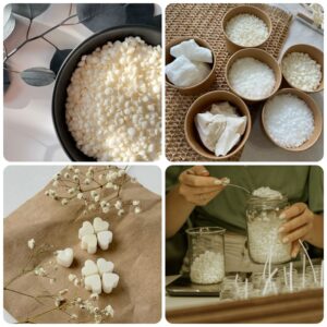 Cung cấp sáp Candelilla nguyên chất hàng đầu thị trường 13 cung cấp sáp Candelilla
