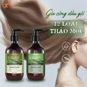 Dịch vụ gia công dầu gội 12 loại thảo mộc